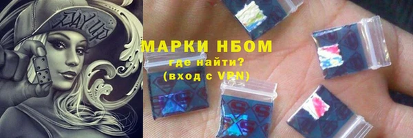 крисы Баксан