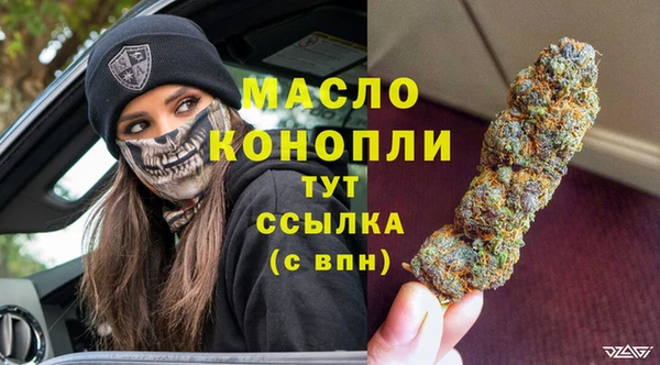 крисы Баксан