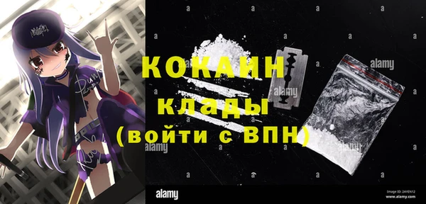крисы Баксан