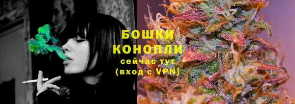 крисы Баксан