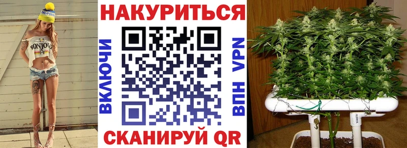 Купить закладки  Мичуринск  Бошки Шишки Amnesia 